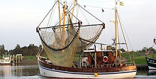 Global fisheries are declining but can still recover, study says