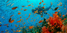 Massive Marine Protections Enacted in Australia