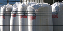 The Fallacy of Farmed Fish