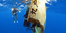 Remnants of Japan’s Tsunami Attract an Archaeological Interest
