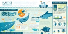 The Plastics Breakdown: An Infographic