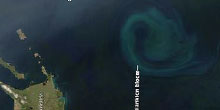 Ocean Fertilization Raises More Questions Than Answers