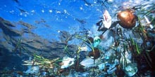 The Reel: Visualization of Ocean Trash