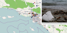 Oceans of Data: A Beautiful Thing