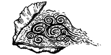 What Do Oysters Have to do With Hurricane Sandy?
