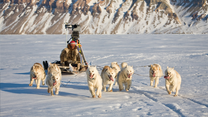 Sea Ice: Public Transportation, Arctic Style