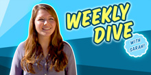 The Weekly Dive Vol. 7