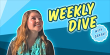 The Weekly Dive Vol. 6
