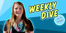 The Weekly Dive Vol. 11