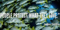 Happy International Biodiversity Day!