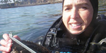 Saving Kelp Forests: Abalone Restoration