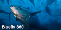 Nat Geo’s Controversial New TV Show Wicked Tuna Debuts