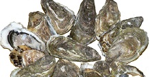 The Green List: Farmed Shellfish