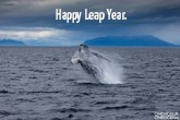 Photo of the Week: Happy Leap Year from OWOO!