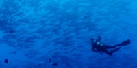 Photo of the Week: Planet Ocean