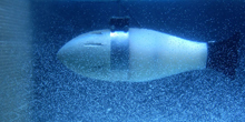Ocean STEMulation: Robotic Fish Get Lateral Line Sensing