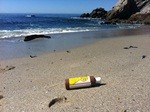 Take a walk on the beach with OWOO on Saturday Oct. 16! (Disclaimer: Picking up trash is required)