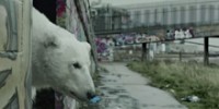 The Reel: Radiohead’s Homeless Polar Bear in London