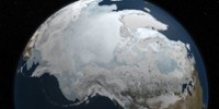 The School: Sea Ice Provides for Sea Life