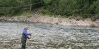 Zen In the Art of Fishing